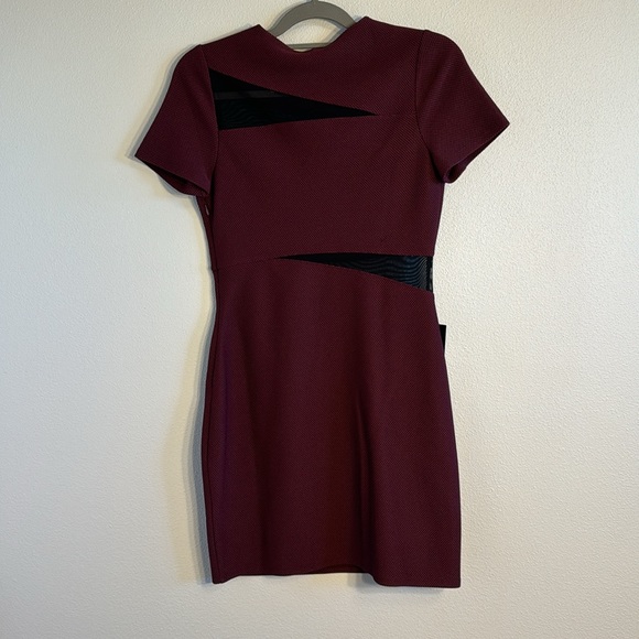 Express Burgundy and Black Dress - Picture 2 of 3